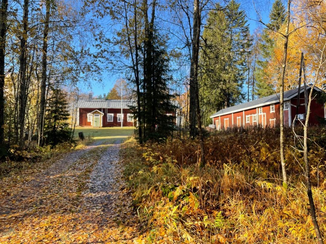 Metsäkestilän pihatie